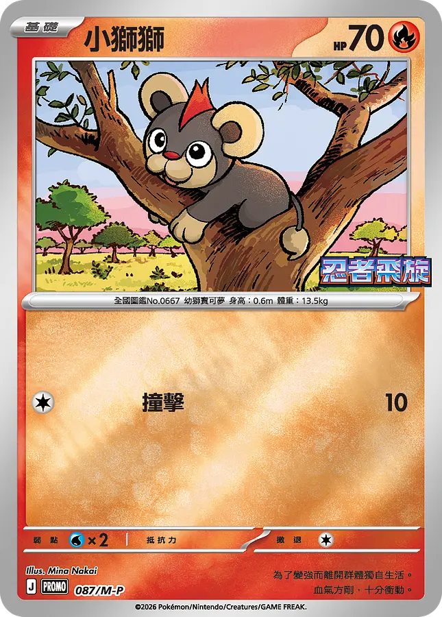 小獅獅